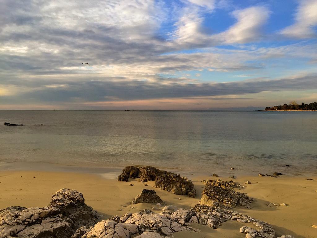 Gvarda Umag